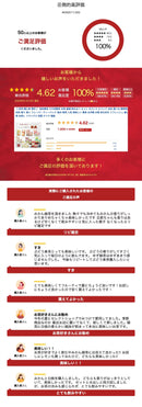 ☆New Items☆フレーバーティー5種セット※予約商品